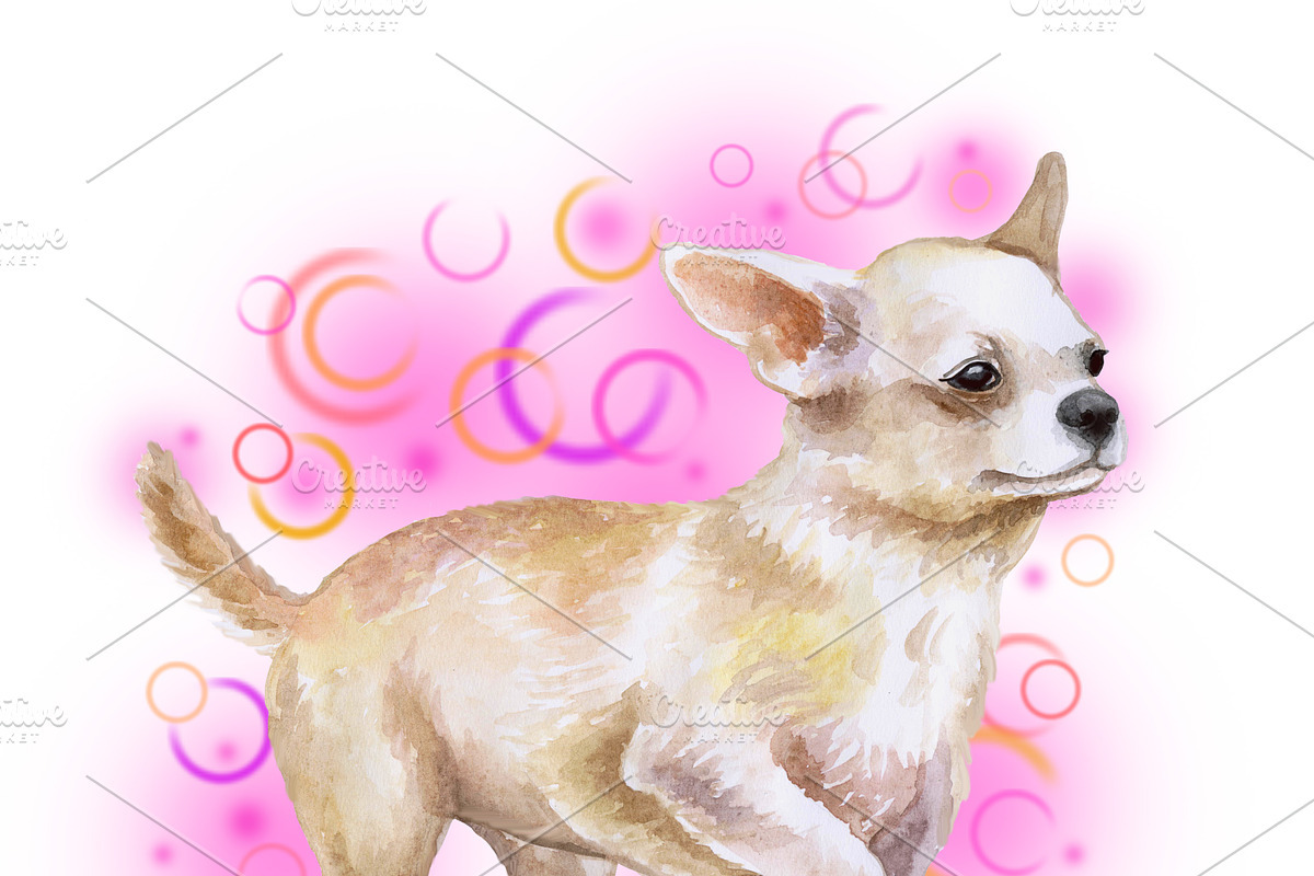 Watercolor Dogs Mega Big Bundle, an Illustration by Dneprstock (Photo 17 of 60)