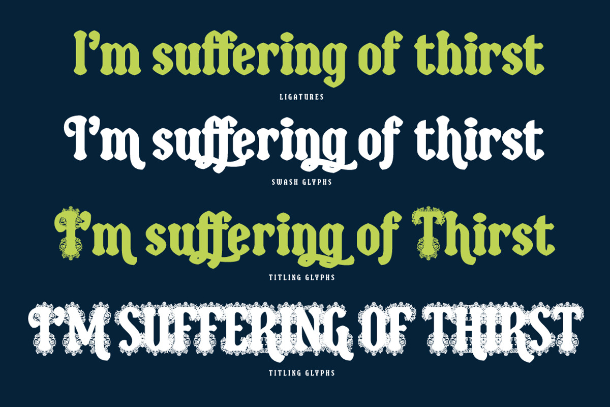 Bulbia, a Serif Font by Typogama (Photo 4 of 14)