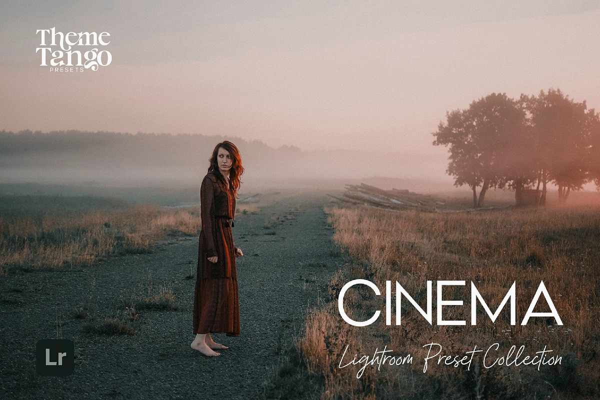 9 Cinematic Lightroom Presets, a Preset Add-On by ThemeTango (Photo 1 of 10)