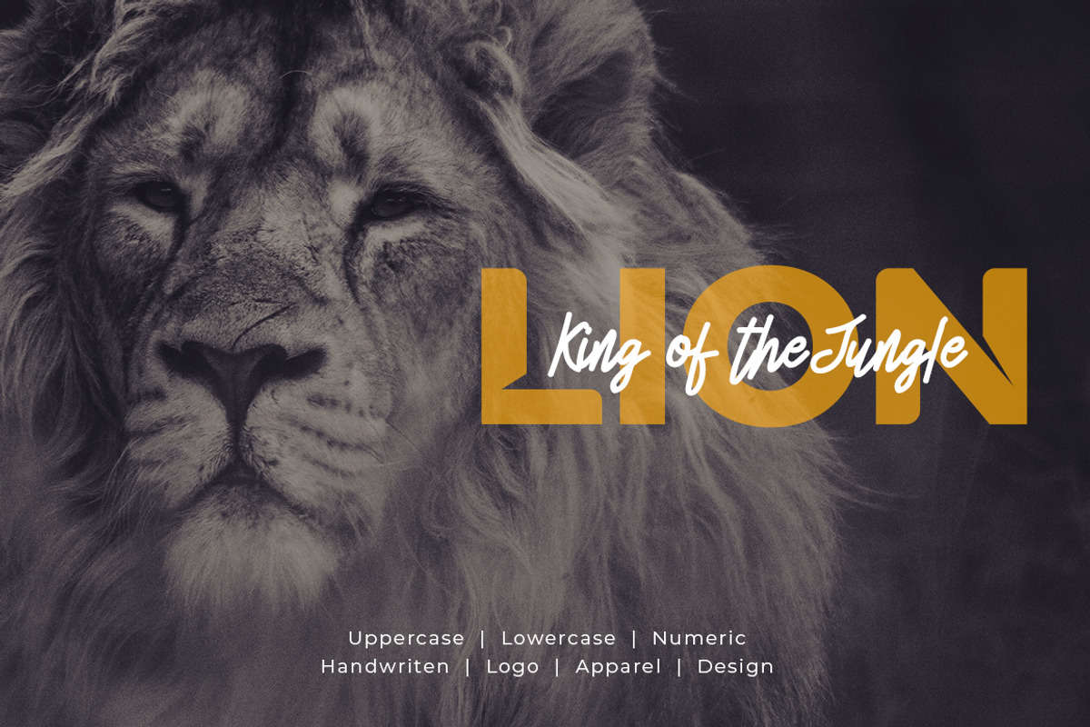 Dzulkifliol Script Font preview 8
