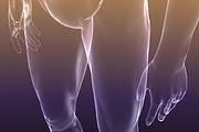 Male And Female Anatomy X-ray Bodies, a Characters & Person 3D Model by VisualCG (Thumbnail 6 of 15)