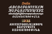 Dalia Lucas - Script Groovy Font Duo, a Handwritten Font by Jozoor (Thumbnail 10 of 10)