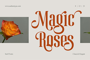 Magic Roses - Serif Clean Elegant