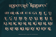 Vicky Christina Ligature Serif Font, a Serif Font by SilverStag Type Foundry (Thumbnail 20 of 25)