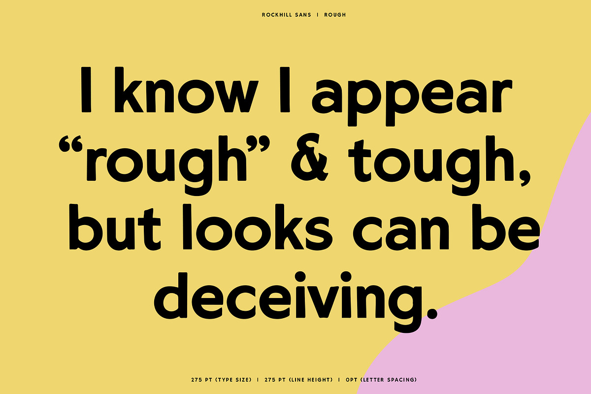 Rockhill Sans: A Diverse Sans Serif preview 7