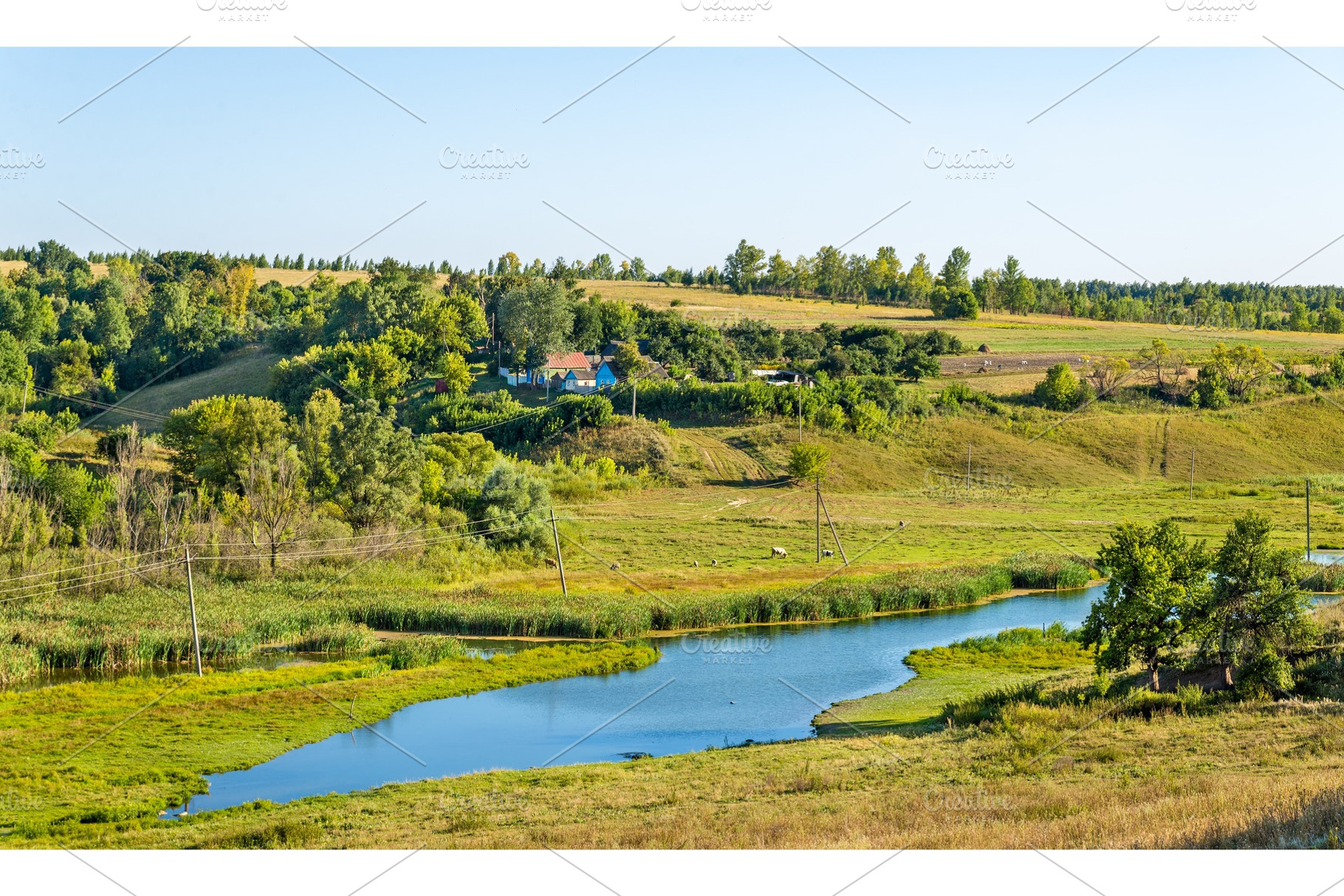Meadow in bolshoe gorodkovo kursk region russia featuring russia, meadow, a Nature Photo by Leonid Andronov