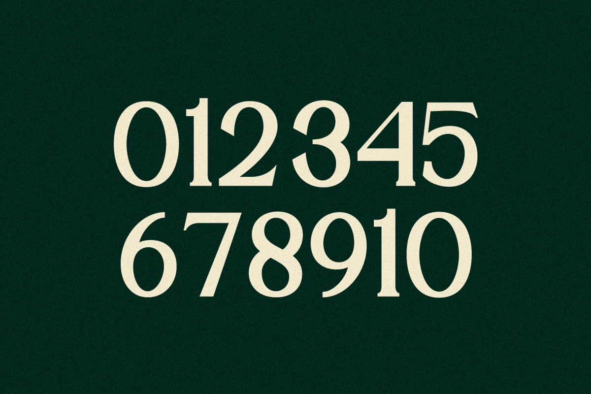 Argillites - Display Serif Font, a Serif Font by RockboyStd (Photo 10 of 12)