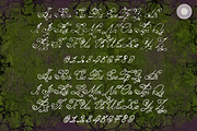Wild Flower - Gothic Script, a Script Font by Setara Langit CreativeStd (Thumbnail 13 of 15)