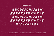 Sanguine Sans - Drip Font, a Handwritten Font by Beck McCormick (Thumbnail 10 of 10)