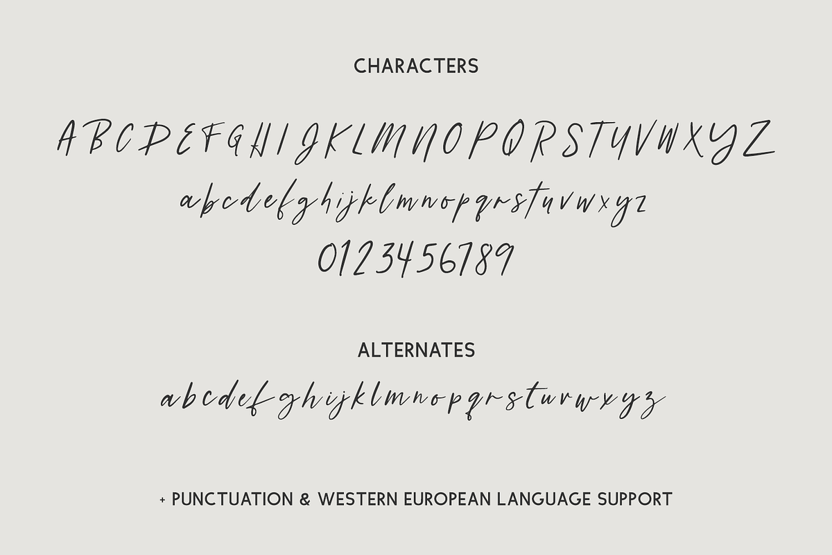 Distillery Script, a Script Font by Beck McCormick (Photo 10 of 11)