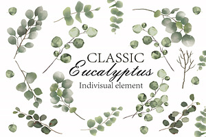 Watercolor Eucalyptus PNG Bunlde, an Illustration by Digi_Design_World