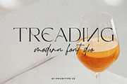 Treading - Modern Font Duo, a Serif Font by Prioritype Co (Thumbnail 17 of 17)