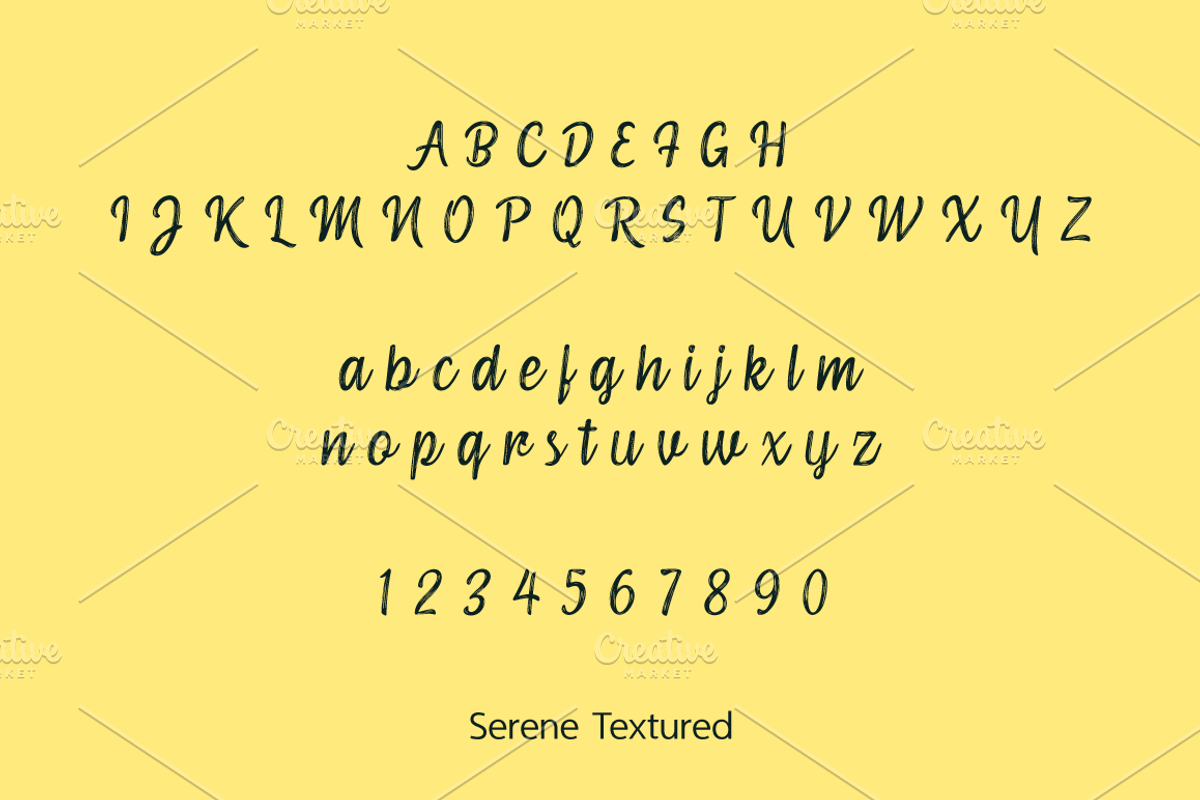 Serene Textured Script preview 5