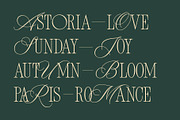 New Icon Font Duo (Updated!), a Script Font by Sam Parrett (Thumbnail 3 of 16)
