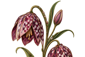 Beaded Fritillary Flower PNG