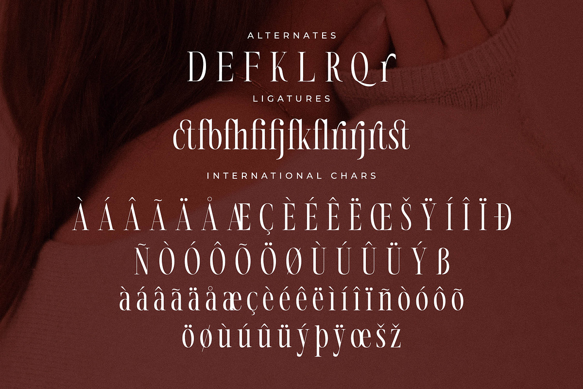 Nortine A New Modern Serif Font, a Serif Font by Storytype Studio (Photo 14 of 15)