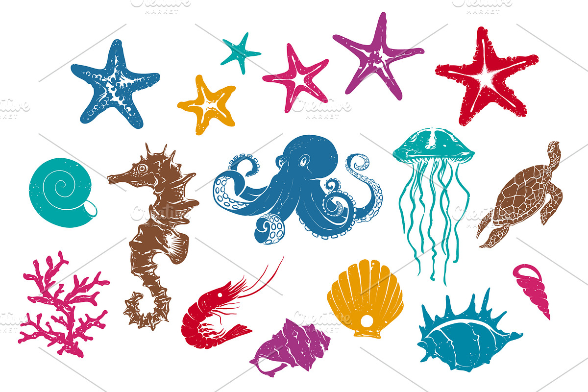 Exotic Underwater Creatures Drawings, a Decorative Illustration by Adiemus (Photo 3 of 9)