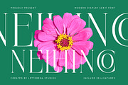 Nelhinco Modern Display Serif, a Serif Font by Letterena Studios (Thumbnail 1 of 15)