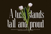 Wagilin Elegant  Serif Font Typeface, a Serif Font by Perfectype (Thumbnail 3 of 7)