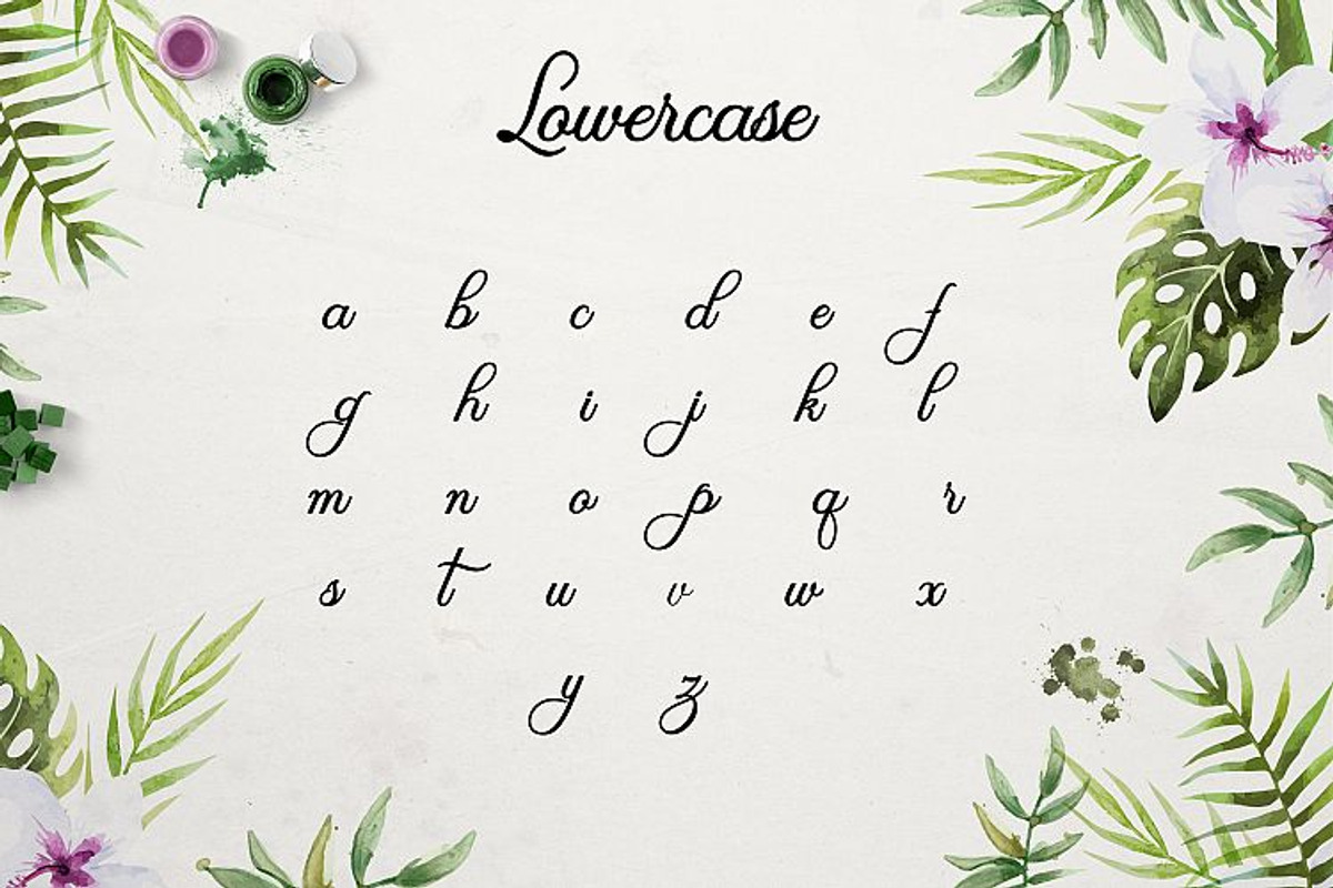 Olivia Script preview 3