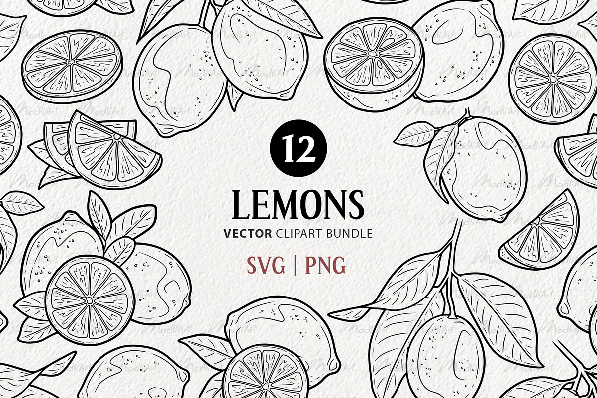 Lemon Citrus Vector Line Art Set, a Decorative Illustration by MadliArt (Photo 1 of 4)
