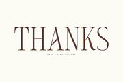 Seraneo Modern Display Typeface, a Serif Font by Letterena Studios (Thumbnail 15 of 15)