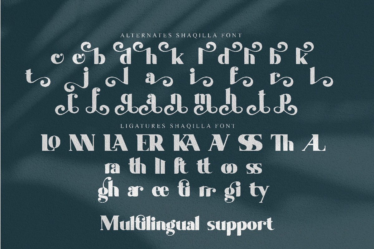 Shaqilla - modern serif, a Serif Font by ribethstudio (Photo 11 of 15)