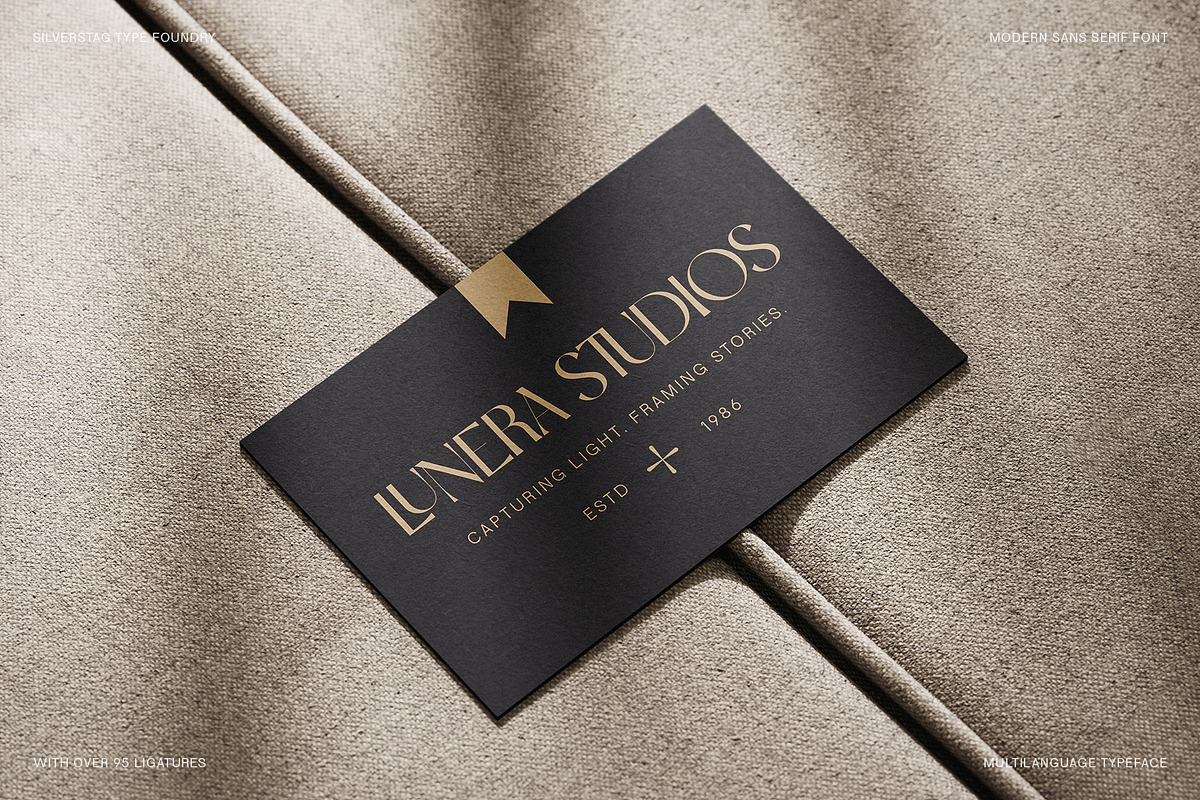 SLTF Night Windfall - Ligature Sans, a Sans Serif Font by SilverStag Type Foundry (Photo 28 of 30)