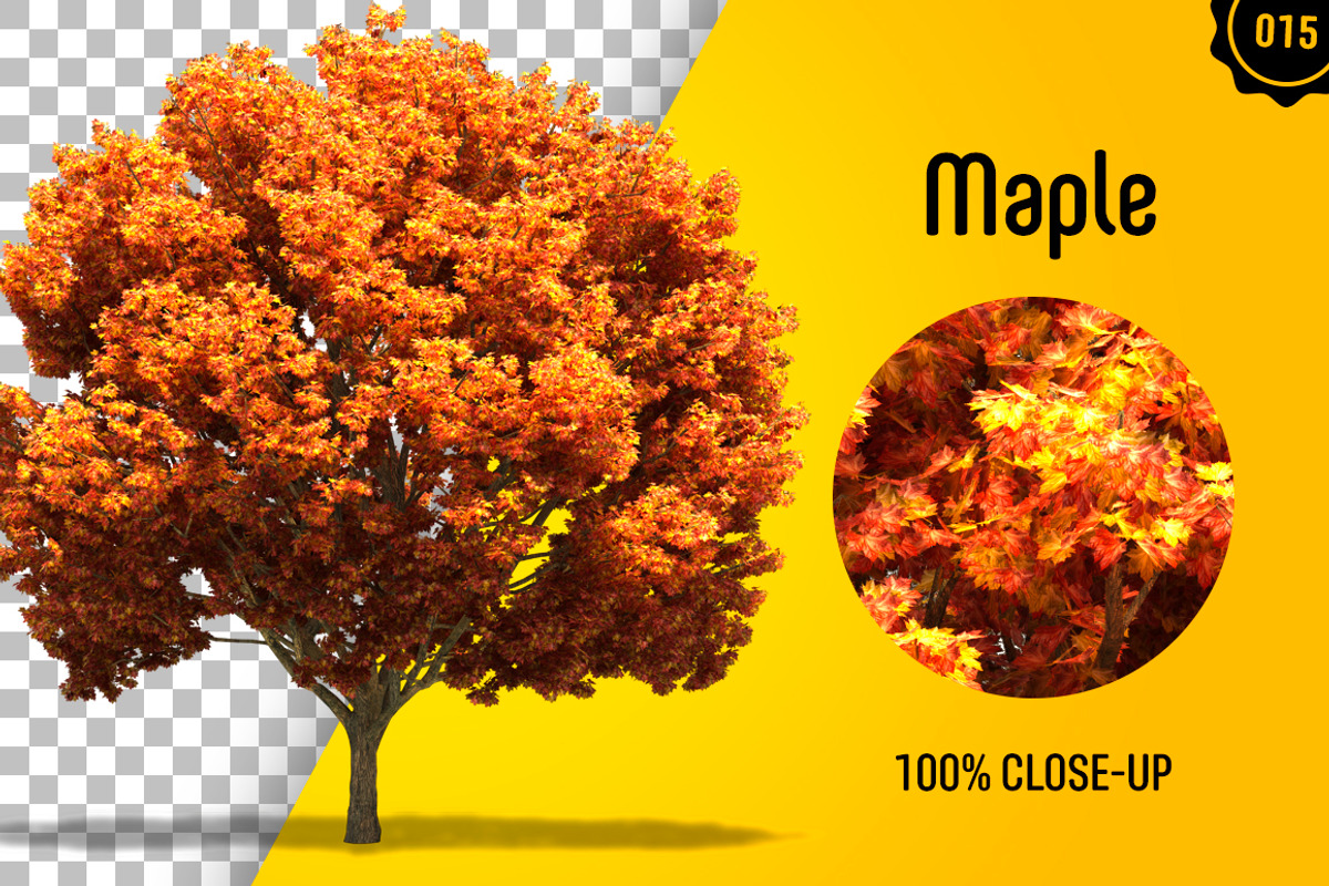 CUT OUT TREES - 60 PCS BUNDLE, a Packaging Mockup by 3DSTORE (Photo 16 of 63)