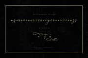 Charlotte Script, a Script Font by Chocotype Std (Thumbnail 7 of 10)