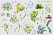 Sea plants watercolor collection, an Illustration by Kate Lanbina (Thumbnail 2 of 18)