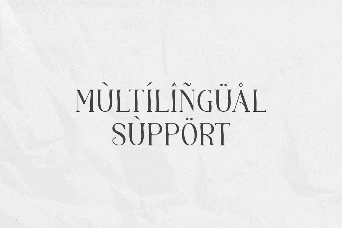 Maglift serif 200+ ligature collecti, a Serif Font by suhadidesign (Photo 9 of 11)