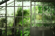 Hyper Glass 04 (11 Glass Effects), a Texture Graphic by Hyperpix Productions (Thumbnail 9 of 10)