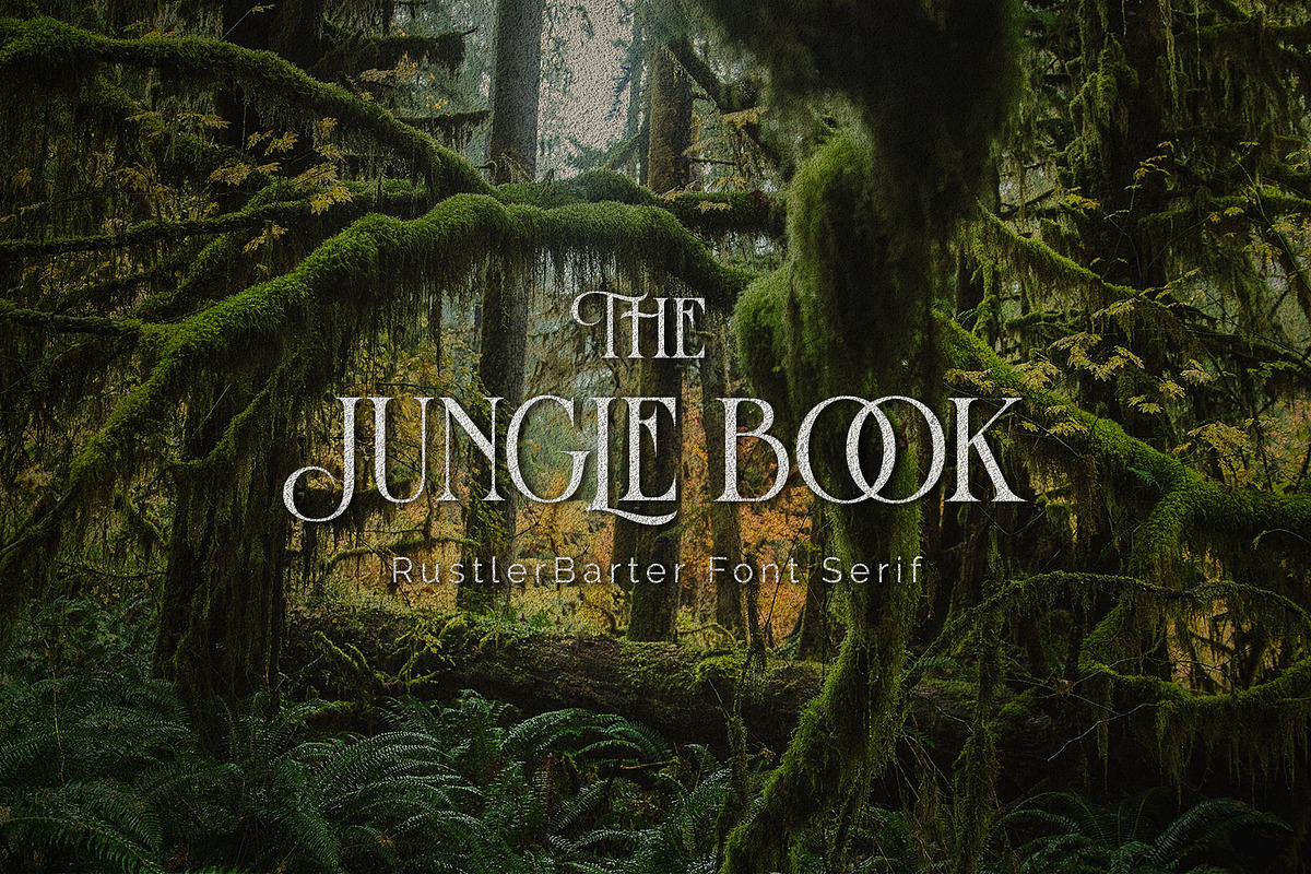 Rustler Barter, a Serif Font by ShowUp! Studio (Photo 22 of 22)