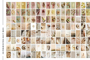 Soft Pastel Stock Photos Bundle 280, a Nature Photo by Tale.Haus (Thumbnail 15 of 19)