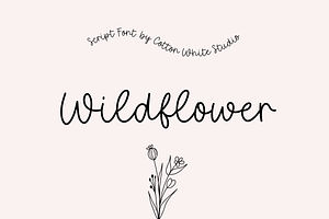 Wildflower Script Font