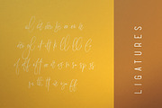 Sunflower - Font Duo, a Script Font by VP Fonts (Thumbnail 8 of 12)