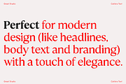 Calibra Text 18 Fonts- Save 40%, a Serif Font by Mulkan Nazir (Thumbnail 7 of 12)