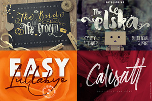 20 Script Fonts Bundle