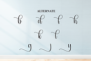 Mickey | Script Font, a Handwritten Font by Scratchones (Thumbnail 8 of 9)