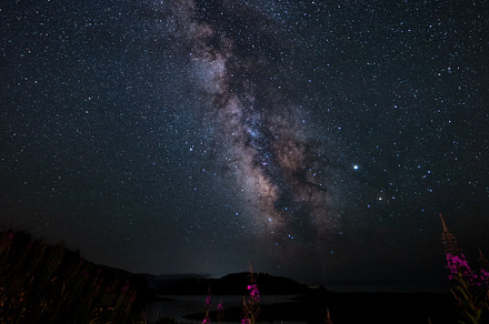 Flowers and the Milky Way