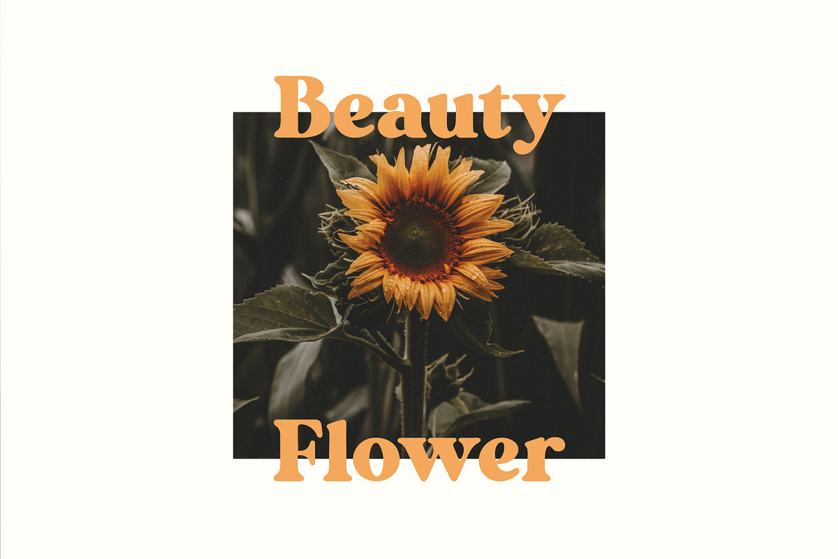 Magide – Bold Serif Font, a Serif Font by Issam Type (Photo 8 of 13)