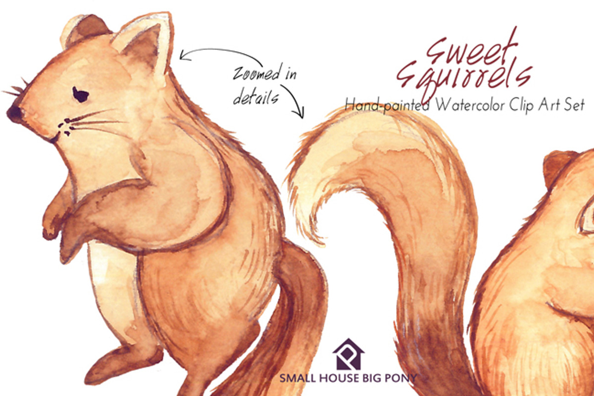 Sweet Squirrels -Huge Watercolor Set, an Animal Illustration by SmallHouseBigPony (Photo 3 of 14)