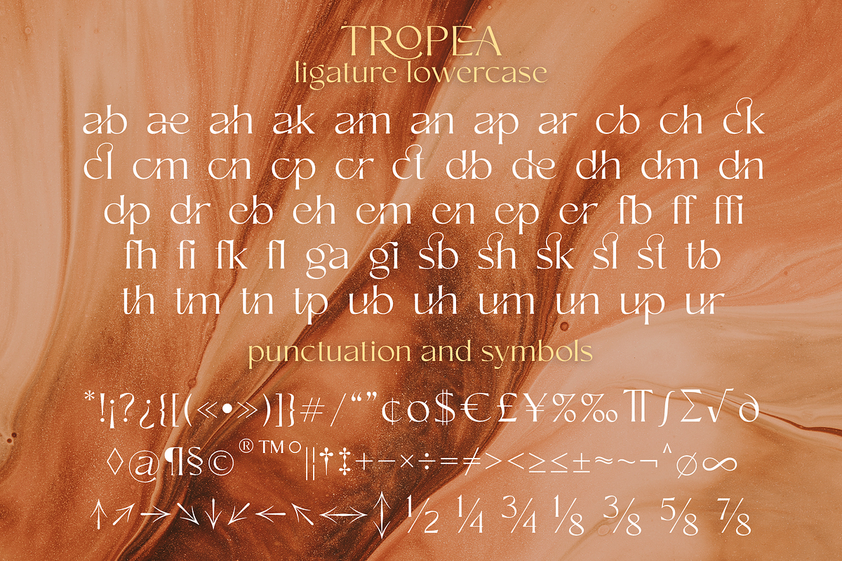 Tropea, a Serif Font by Larin Type Co. (Photo 15 of 15)