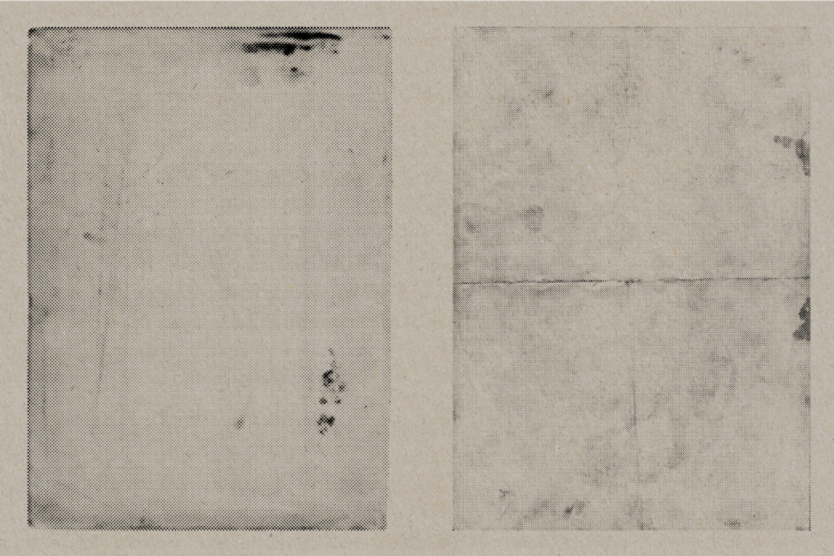 Halftone Paper & Card Vectors, a Texture Graphic by Offset (Photo 9 of 16)