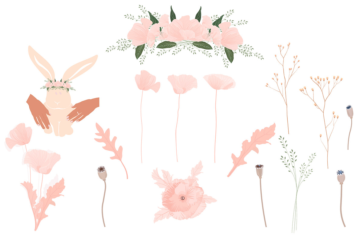 Blush Pink Flowers Poppies One Touch, an Illustration by MariiaVasilenko (Photo 7 of 10)