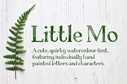 Little Mo Watercolour Display Font, a Serif Font by Alexandra Snowdon (Thumbnail 1 of 6)