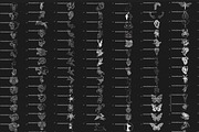 Bundle Animals & Insects -Stamp Sets, a Brush Add-On by LA Studio Sthlm (Thumbnail 11 of 15)