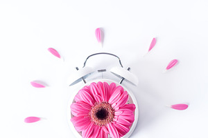 Spring Time - Stock Photo
