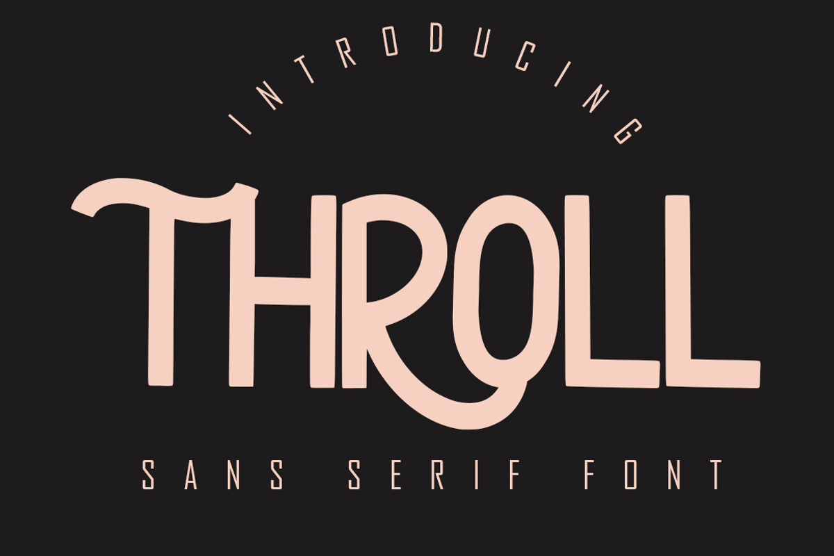 THROLL Modern Sans Serif, a Sans Serif Font by skiiller studio (Photo 1 of 8)